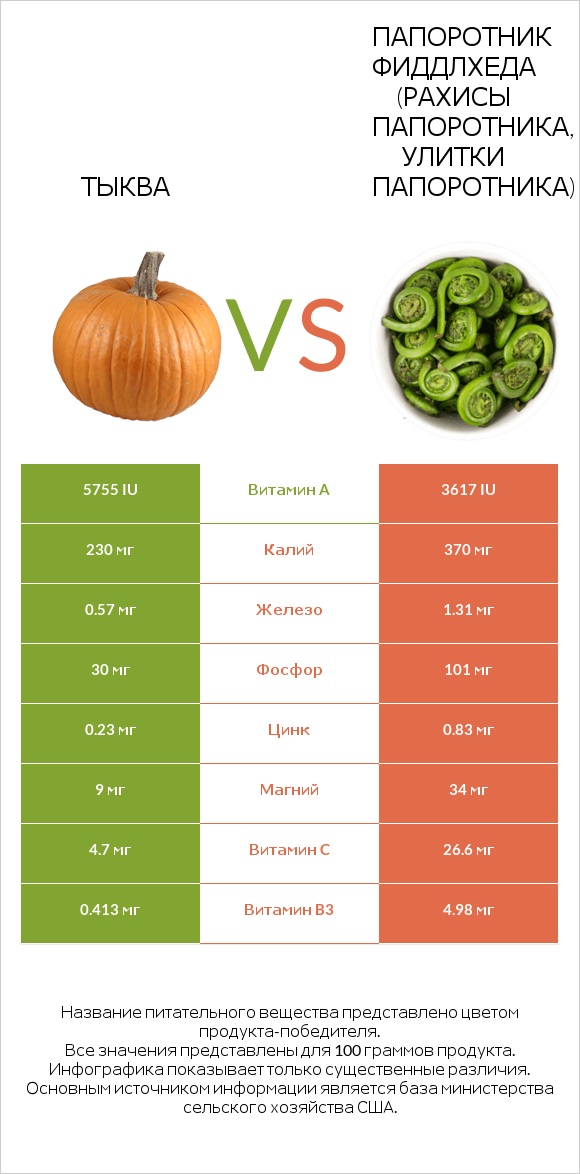 Тыква vs Fiddlehead ferns infographic