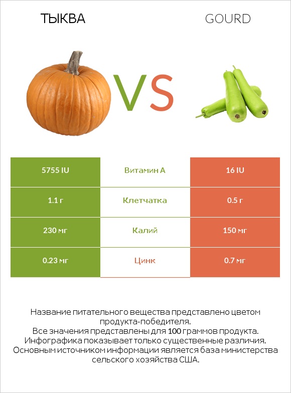 Тыква vs Gourd infographic