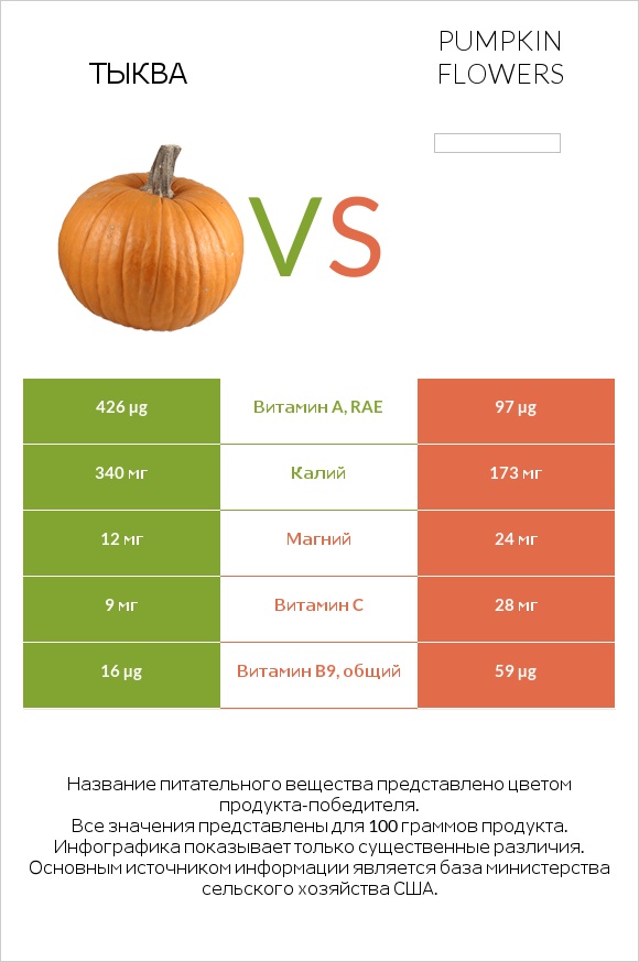 Тыква vs Pumpkin flowers infographic
