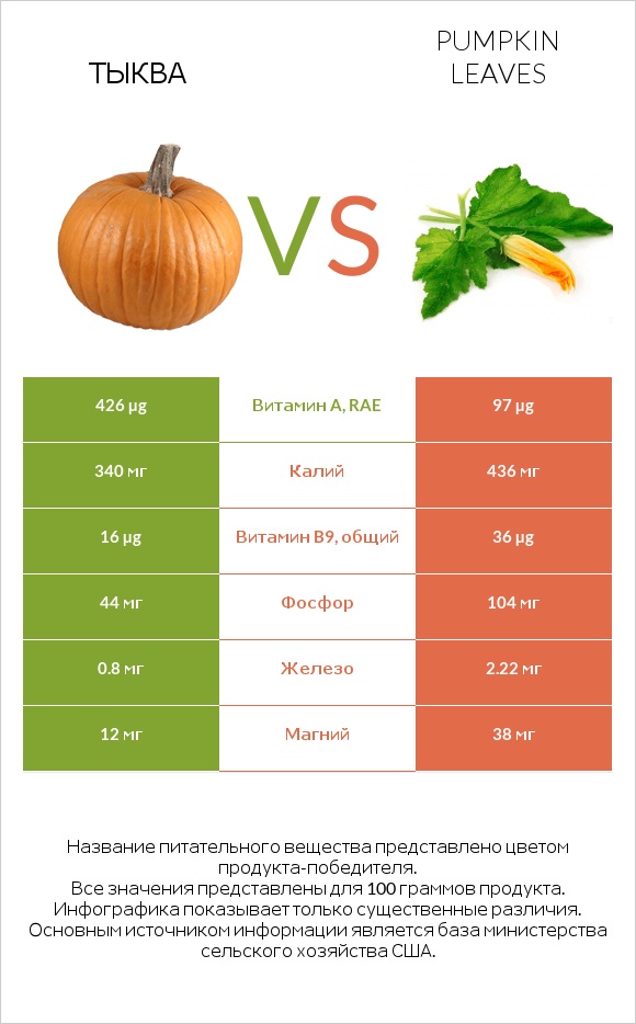 Тыква vs Pumpkin leaves infographic