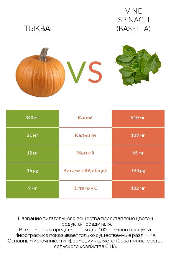 Тыква vs Vine spinach (basella) infographic