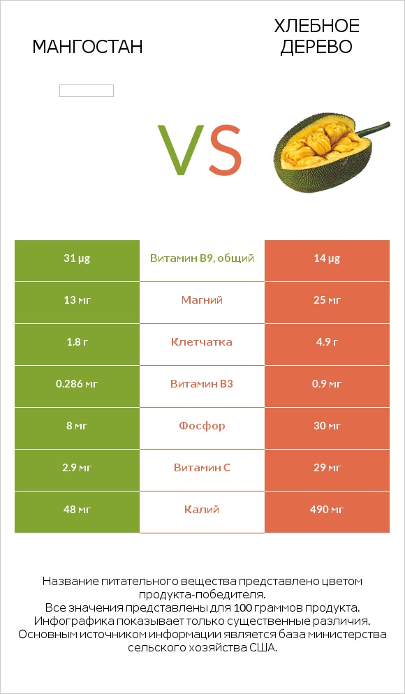 Мангостан vs Хлебное дерево infographic