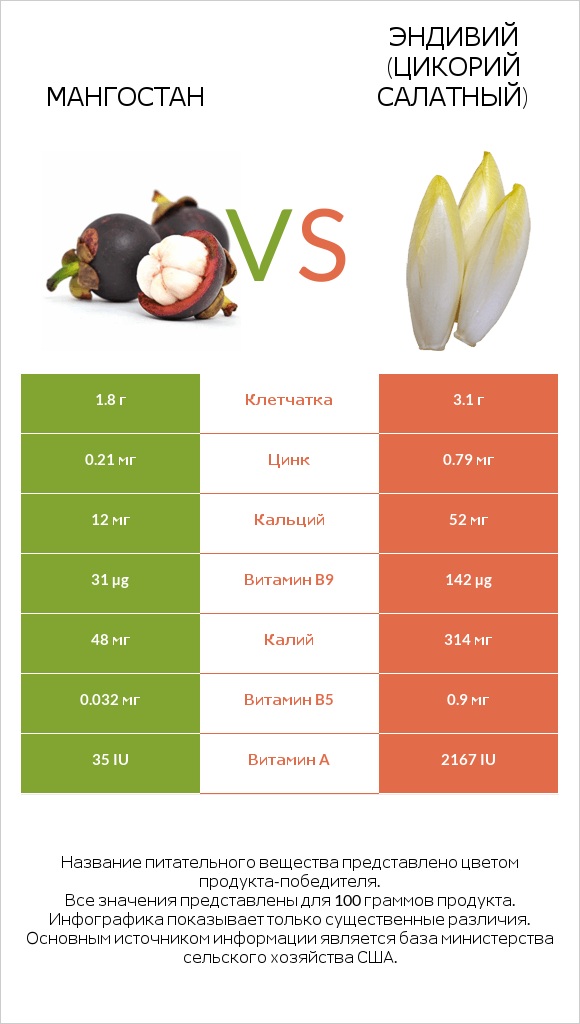 Мангостан vs Эндивий (Цикорий салатный)  infographic