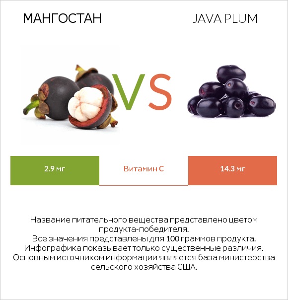 Мангостан vs Java plum infographic