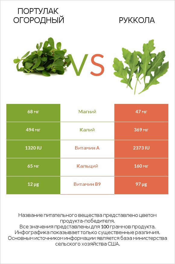 Портулак огородный vs Руккола infographic