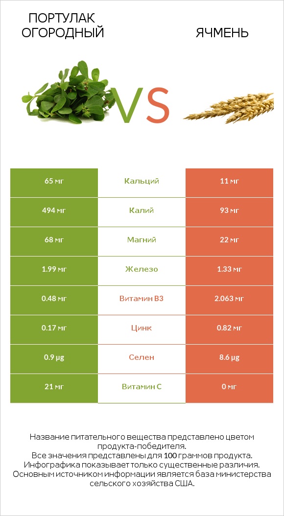 Портулак огородный vs Ячмень infographic