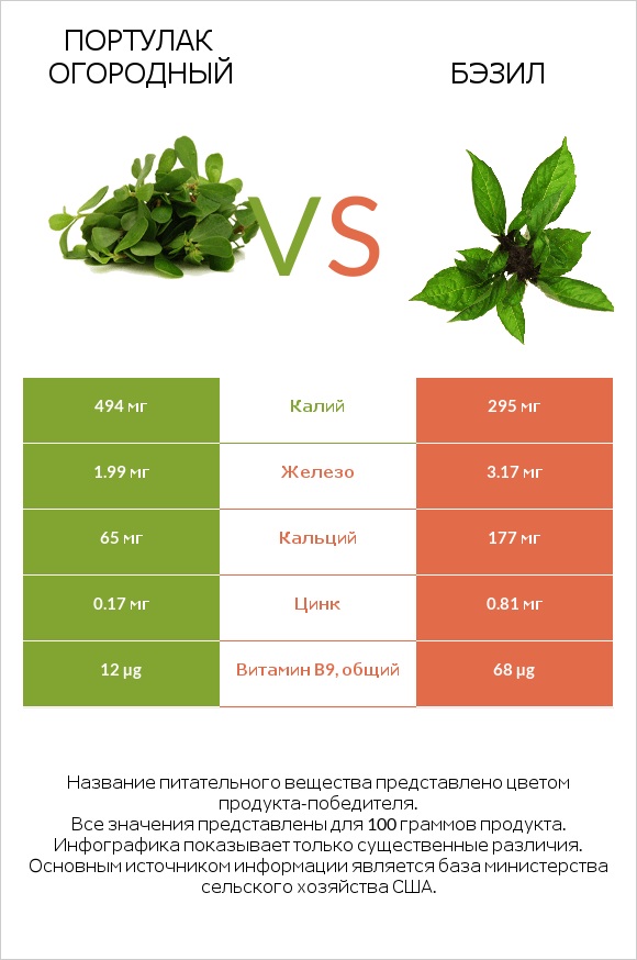 Портулак огородный vs Бэзил infographic
