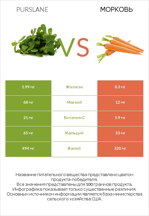 Purslane vs Морковь infographic