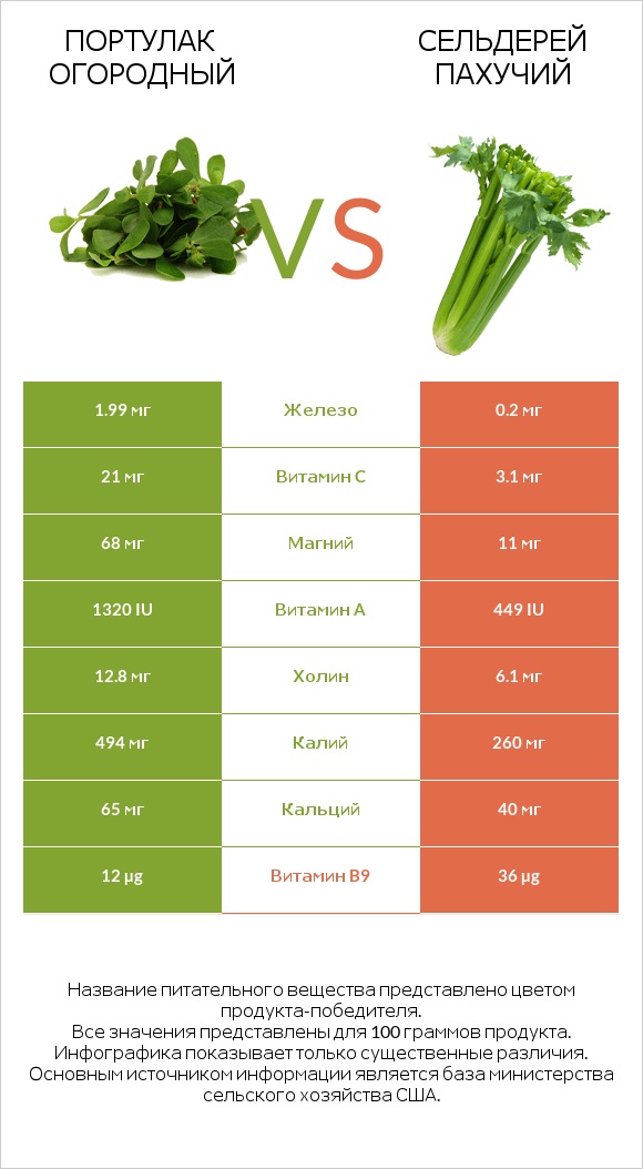 Портулак огородный vs Сельдерей пахучий infographic