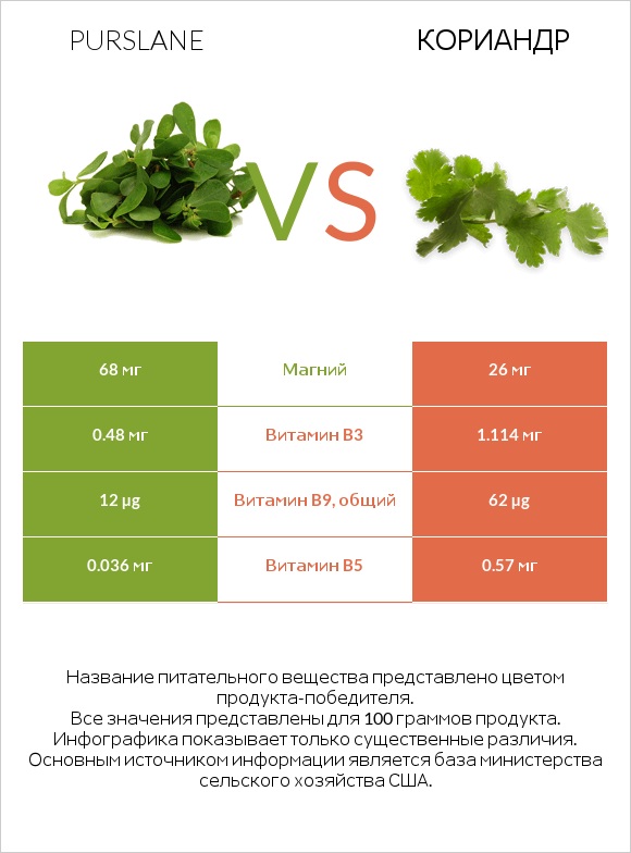 Портулак огородный vs Кориандр infographic