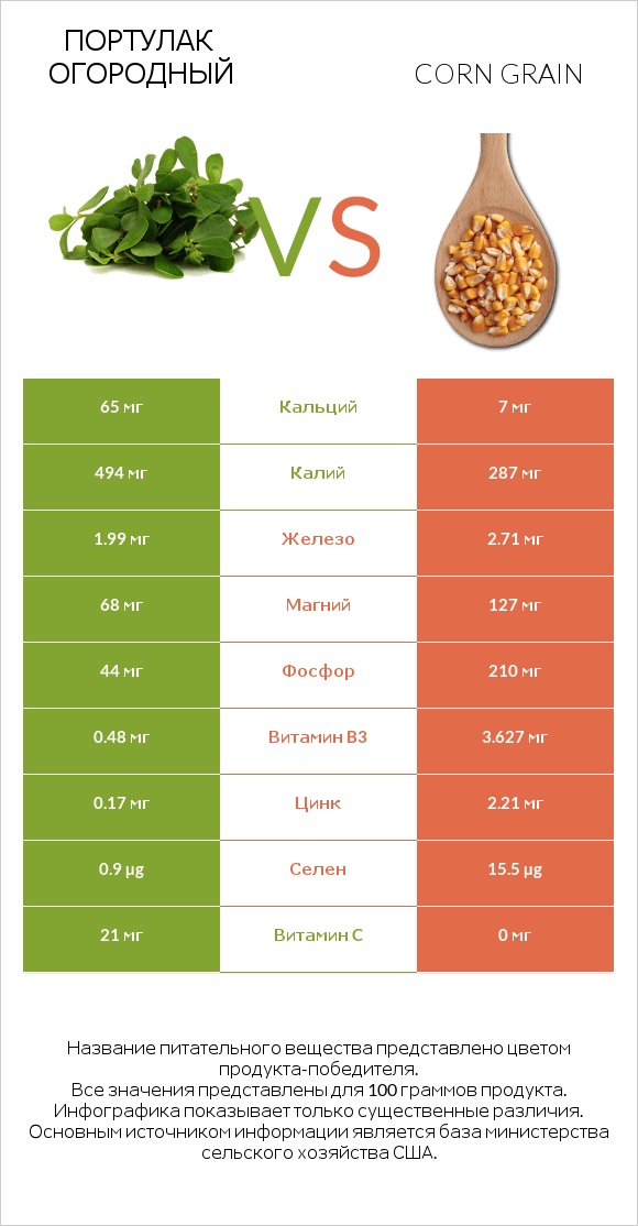 Портулак огородный vs Corn grain infographic