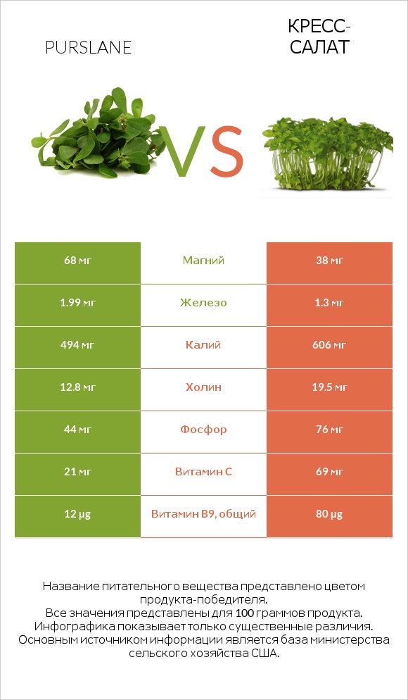 Портулак огородный vs Кресс-салат infographic