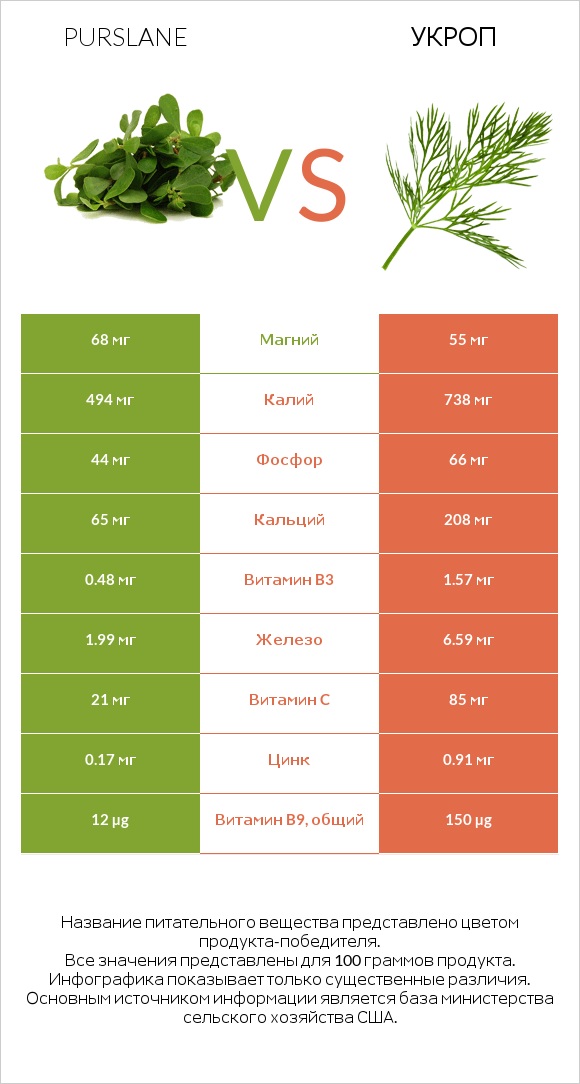 Purslane vs Укроп infographic