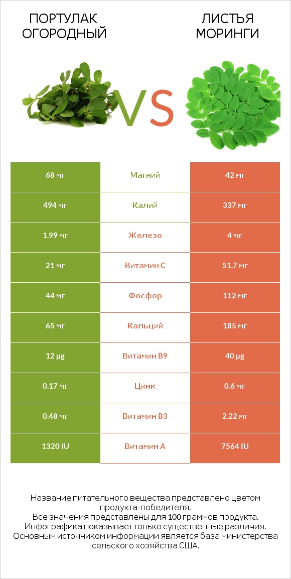 Портулак огородный vs Листья моринги infographic