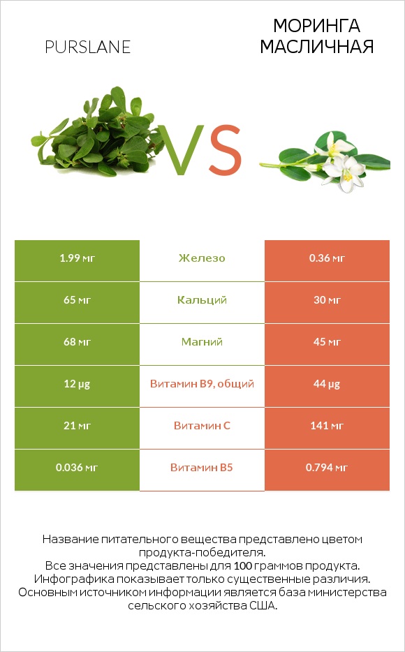 Purslane vs Моринга масличная infographic