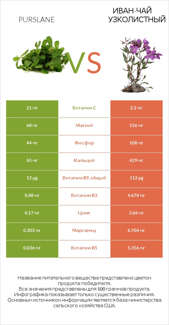 Портулак огородный vs Иван-чай узколистный infographic