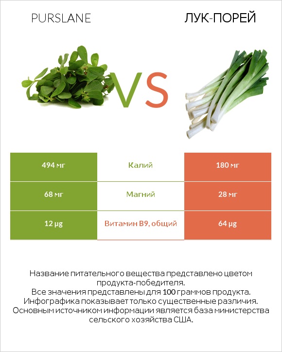 Портулак огородный vs Лук-порей infographic