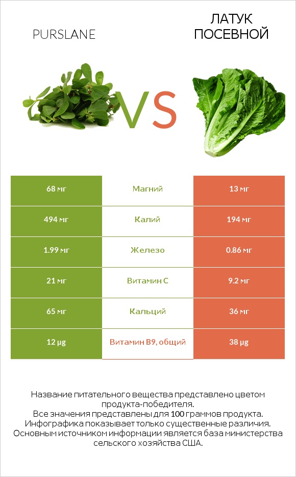 Портулак огородный vs Латук посевной infographic