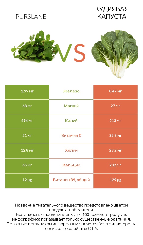 Портулак огородный vs Кудрявая капуста infographic