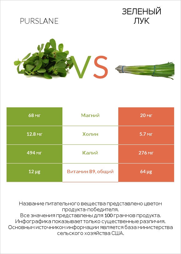 Портулак огородный vs Зеленый лук infographic