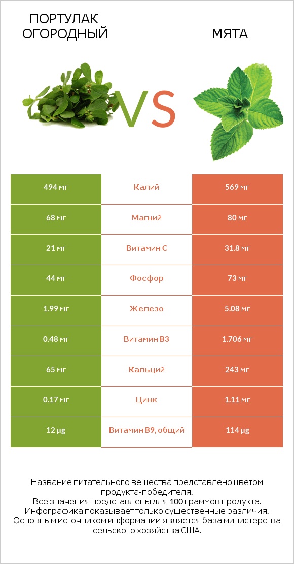 Портулак огородный vs Мята infographic