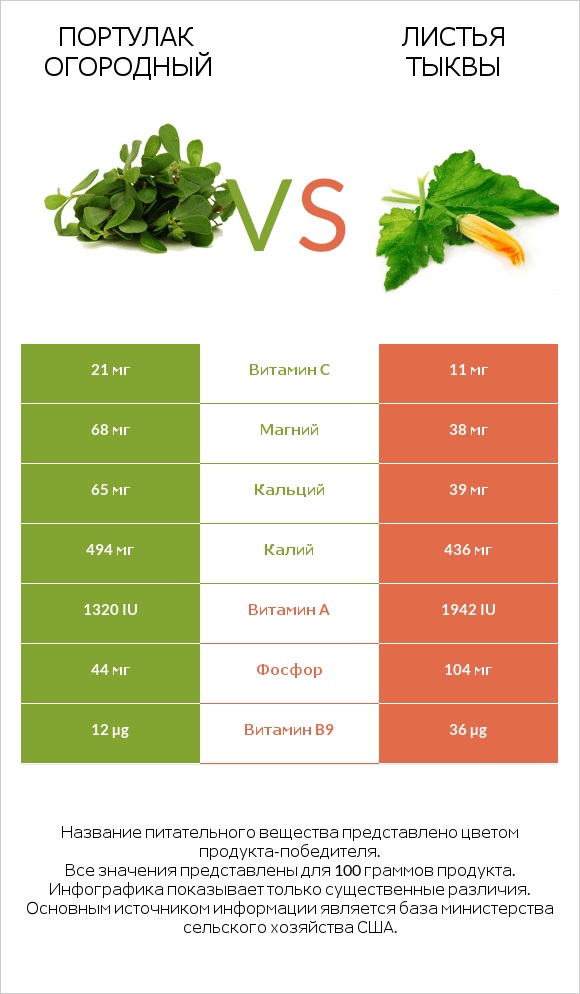 Purslane vs Pumpkin leaves infographic