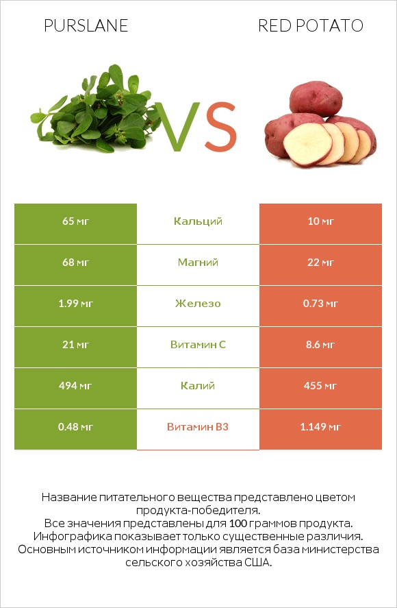 Purslane vs Red potato infographic