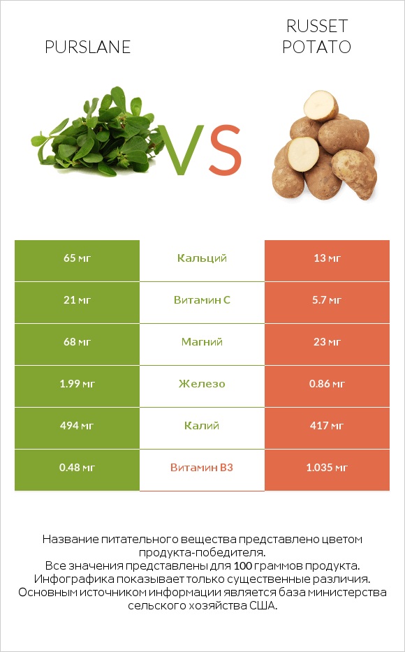 Purslane vs Russet potato infographic