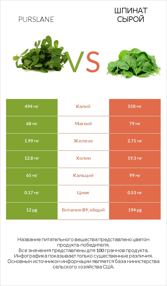 Purslane vs Шпинат сырой infographic