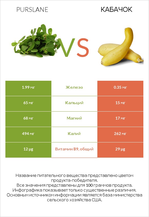 Purslane vs Кабачок infographic