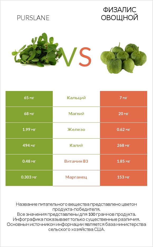 Purslane vs Физалис овощной infographic