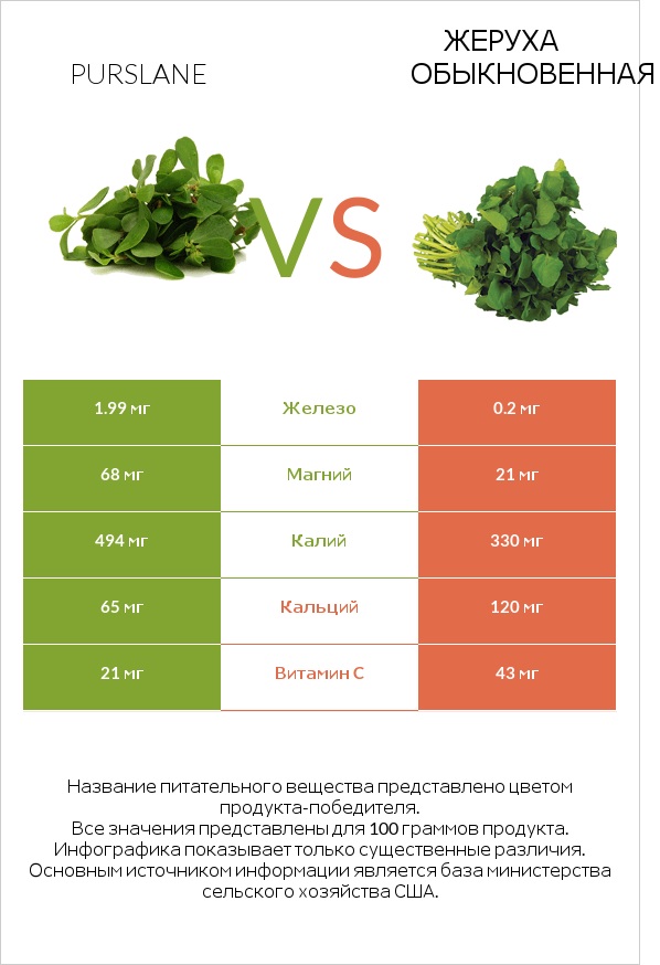 Purslane vs Жеруха обыкновенная infographic