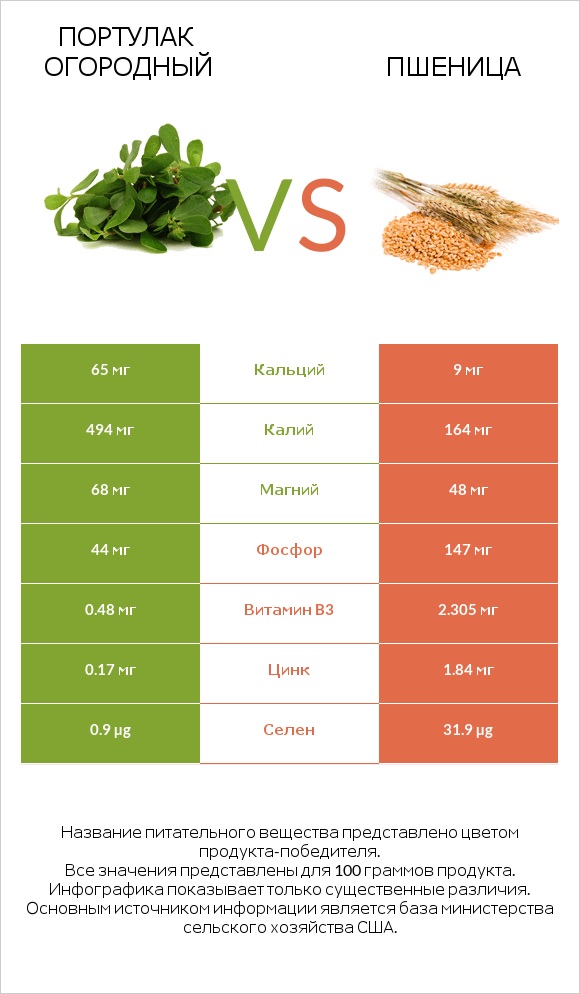 Портулак огородный vs Пшеница infographic