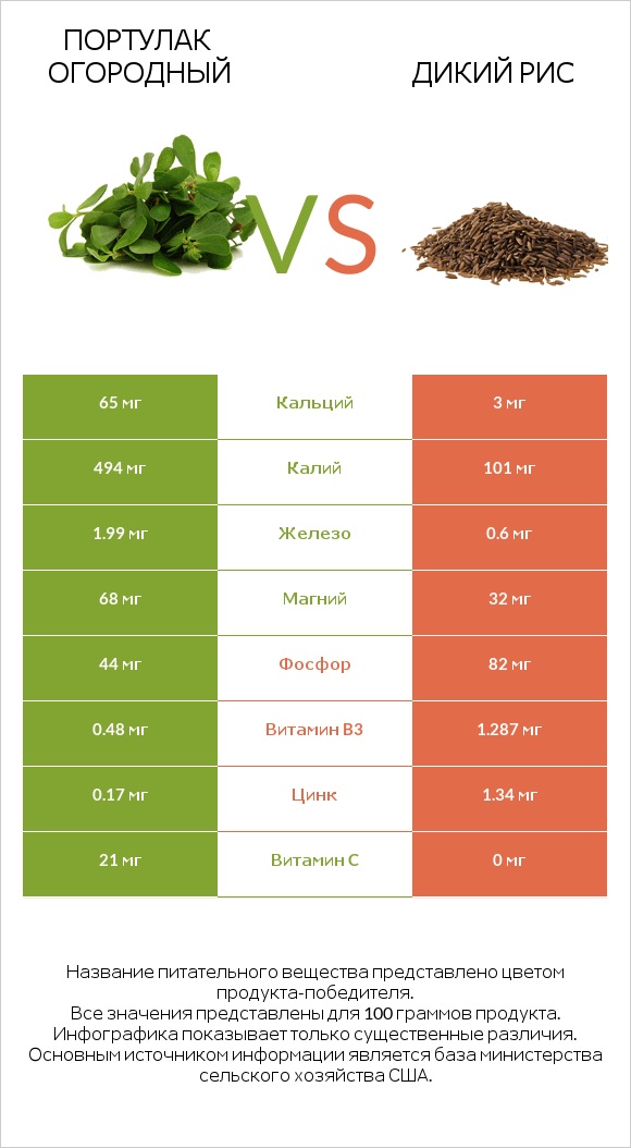 Портулак огородный vs Дикий рис infographic