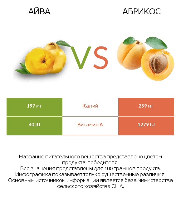 Айва vs Абрикос infographic