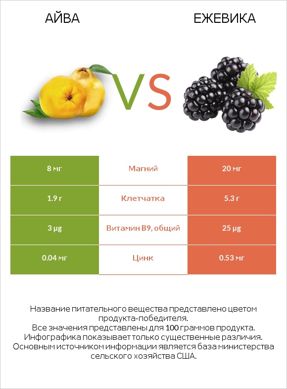 Айва vs Ежевика infographic
