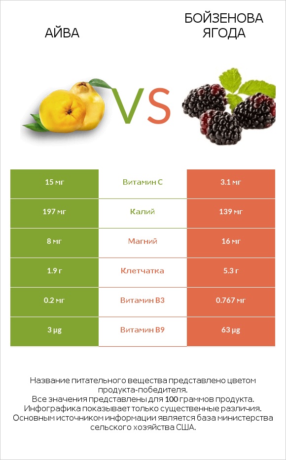 Айва vs Бойзенова ягода infographic