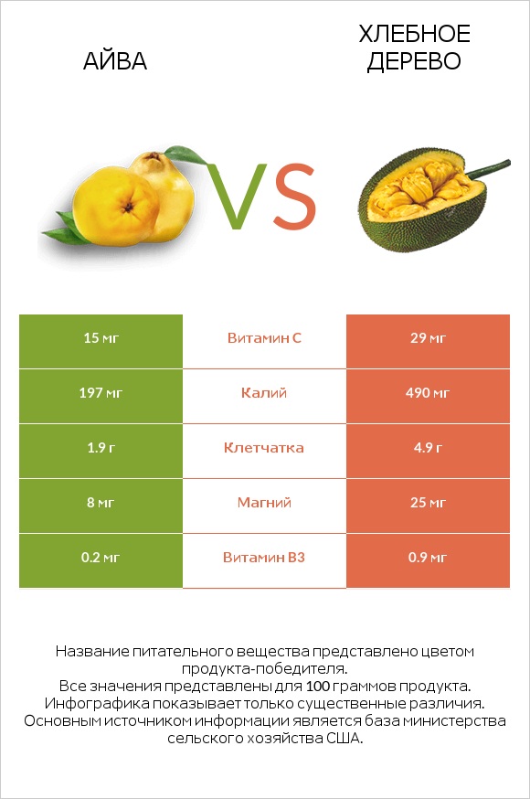Айва vs Хлебное дерево infographic