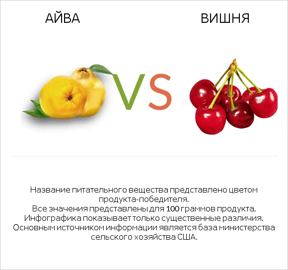 Айва vs Вишня infographic