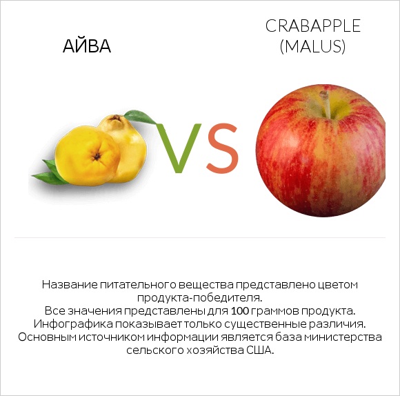 Айва vs Crabapple (Malus) infographic