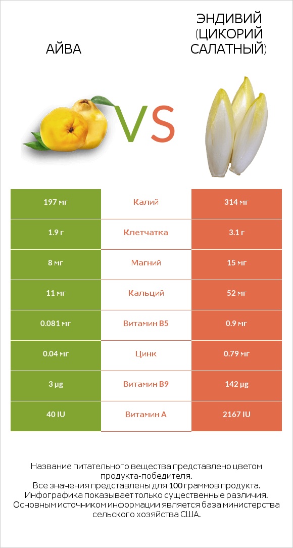 Айва vs Эндивий (Цикорий салатный) infographic