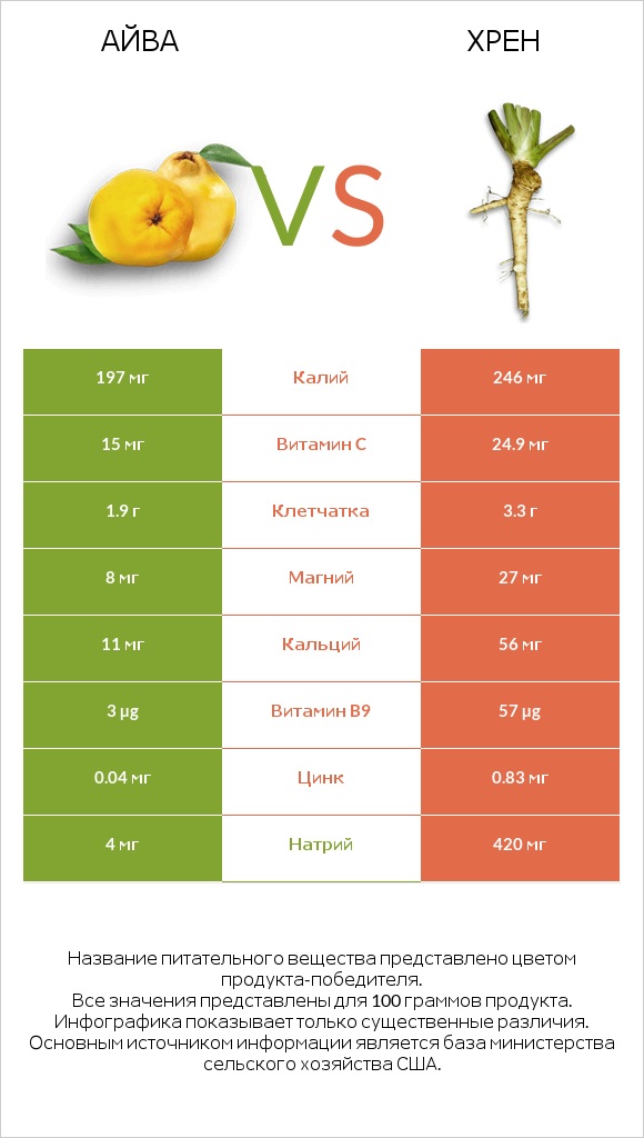 Айва vs Хрен infographic