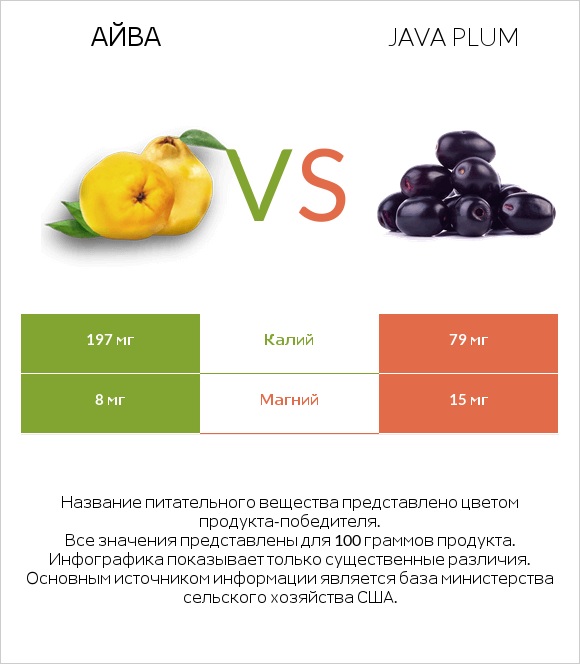 Айва vs Java plum infographic