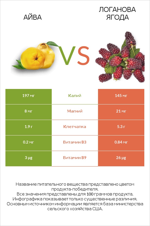 Айва vs Логанова ягода infographic