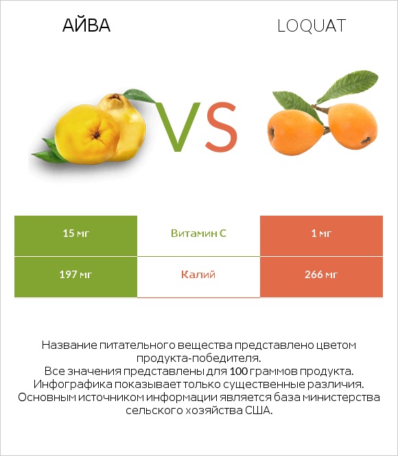 Айва vs Loquat infographic