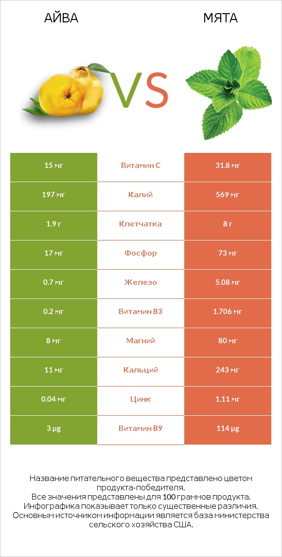 Айва vs Мята infographic