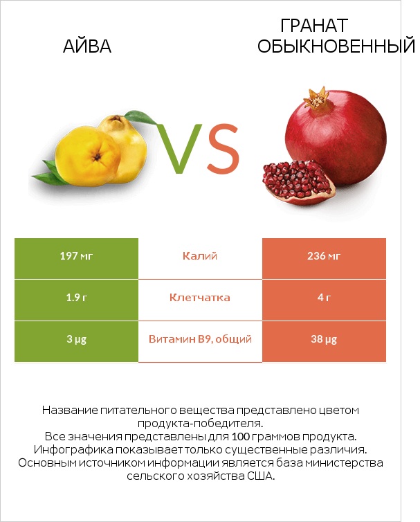 Айва vs Гранат обыкновенный infographic
