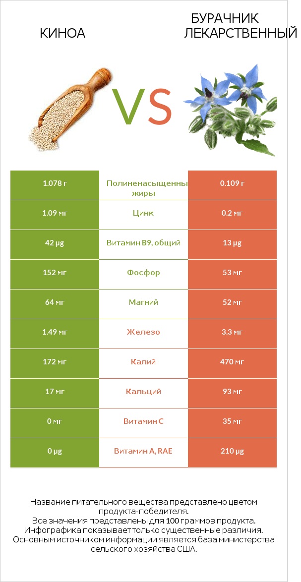 Киноа vs Бурачник лекарственный infographic