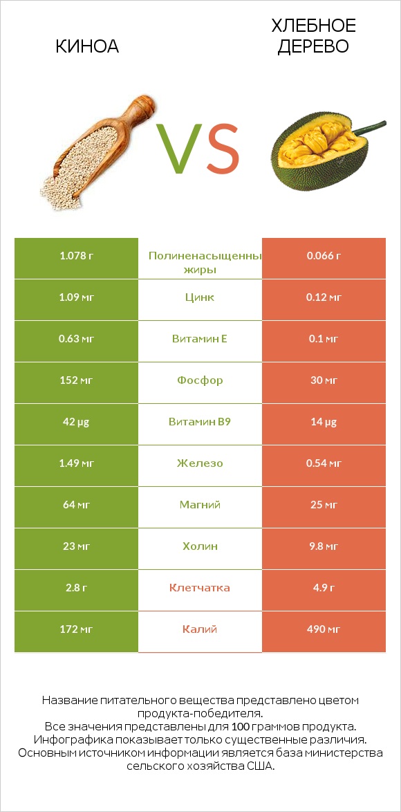 Киноа vs Хлебное дерево infographic