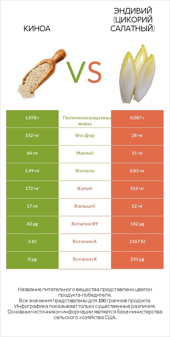 Киноа vs Эндивий (Цикорий салатный)  infographic